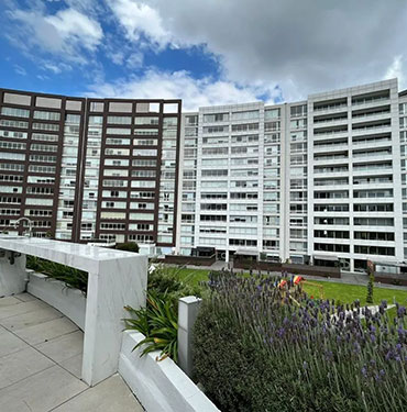 Dashboard digital para consejos de administración